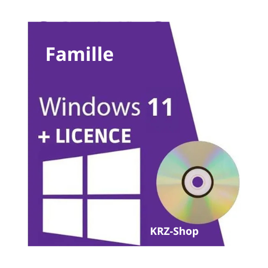 Windows 11 Famille DVD (Version 64 bits)