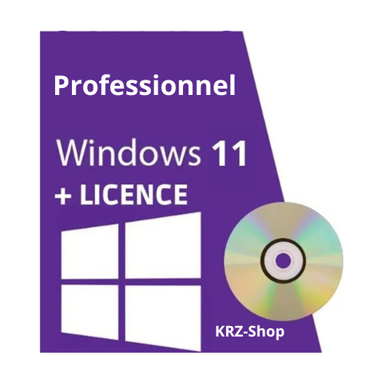 Windows 11 Pro DVD (Version 64 bits)