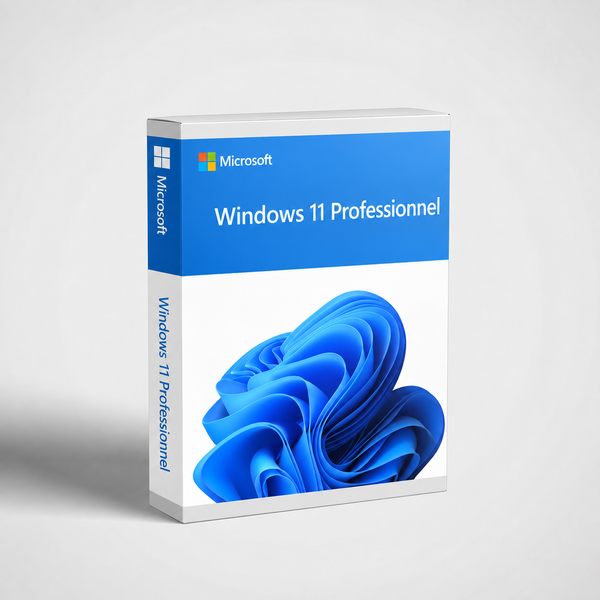 Windows 11 Professionnel