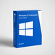 Windows 8.1 Professionnel